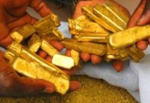 Production de l’or : Essor fulgurant en Côte d’Ivoire, important contributeur aux recettes