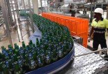 Industrie brassicole: Le classement des pays africains à forte production de bière